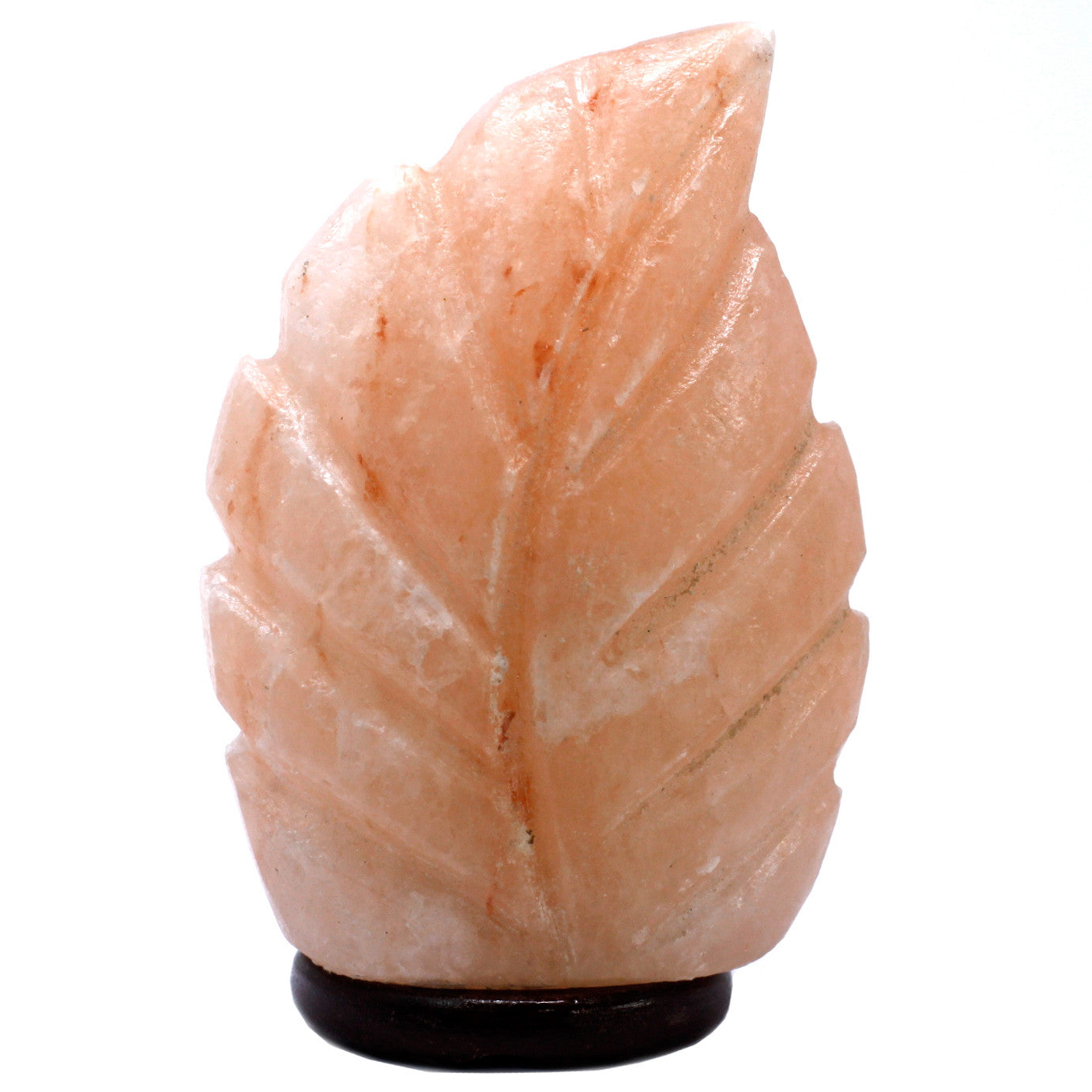 USB leaf Shaped (Multi)