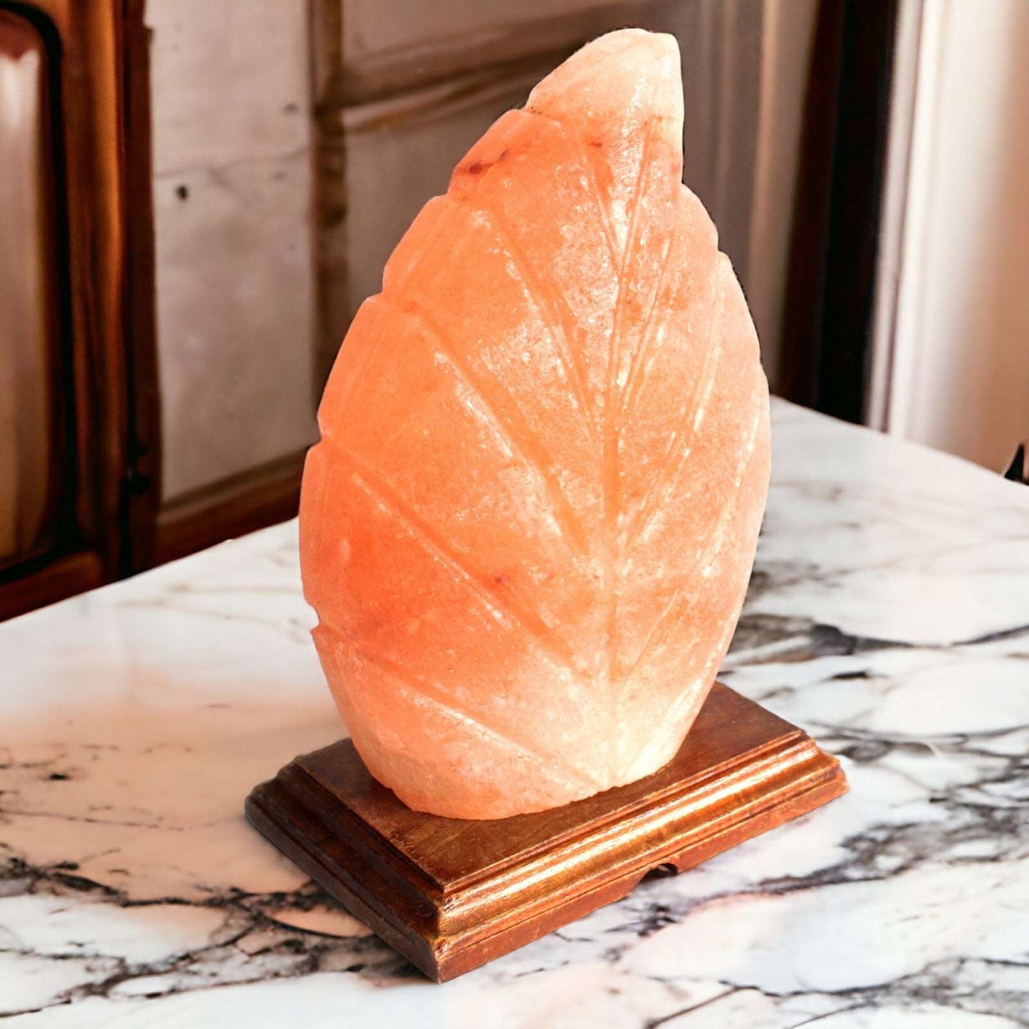 Crafted Salt lamp - Fern